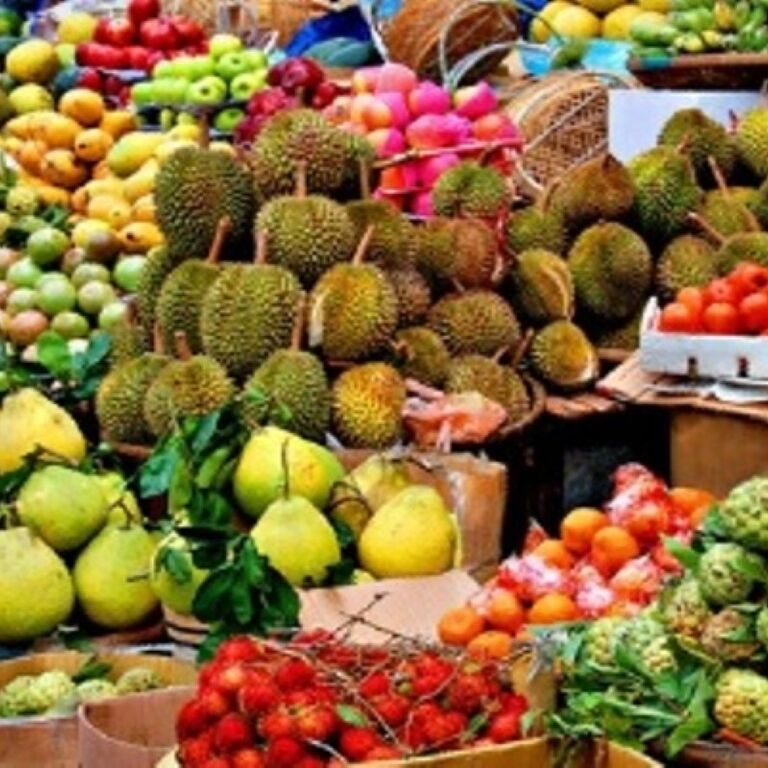PHUKET-Phang-nga: Jungle Safari Bamboo Rafting - ATV- and Elephant Trekking-Bahting-S2