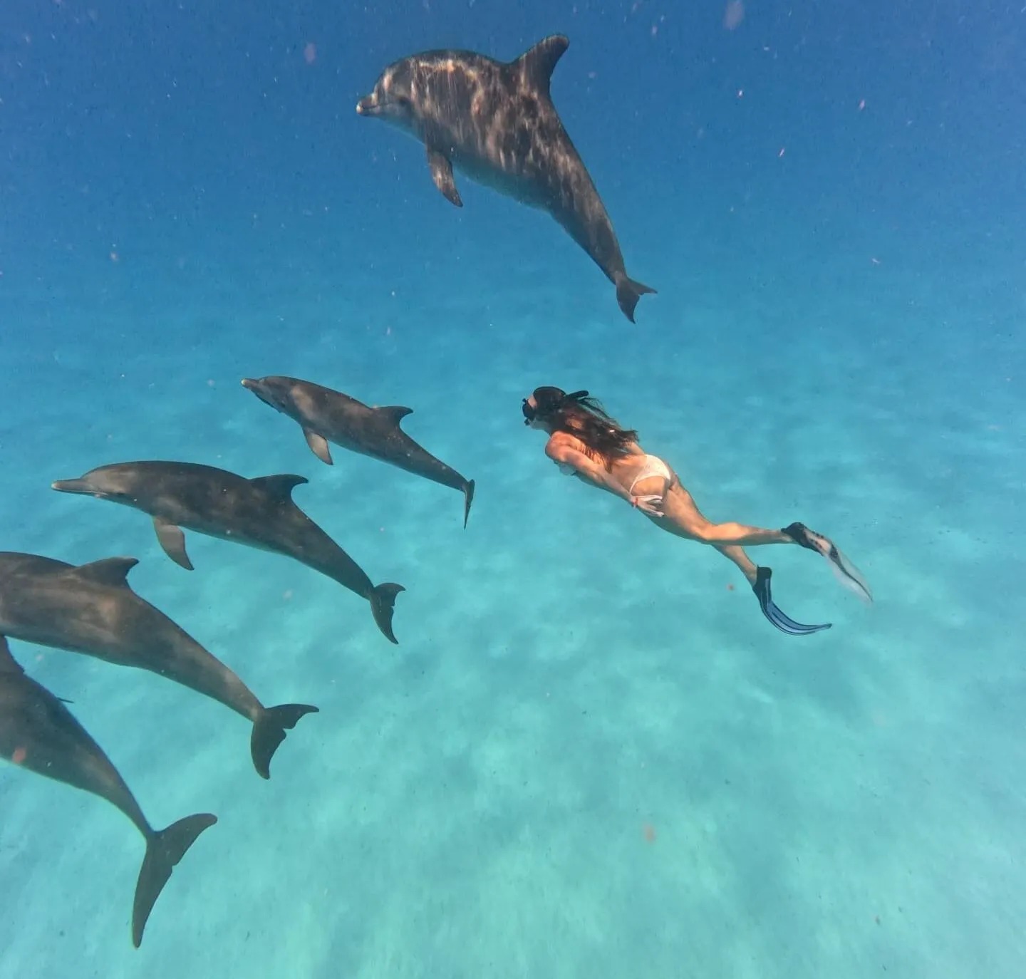 Azur Zanzibar Tours & Safaris