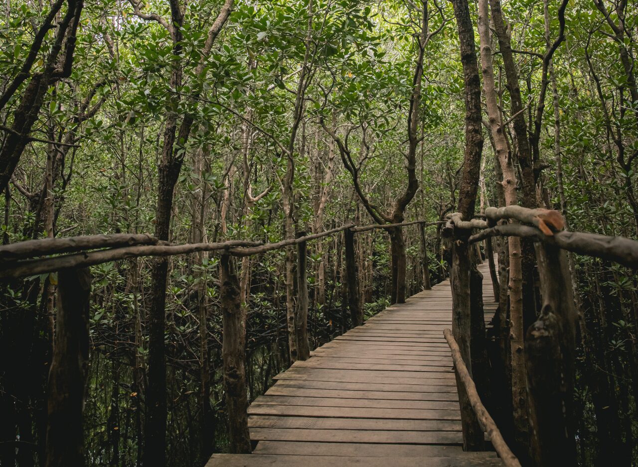 Azur Zanzibar Tours & Safaris