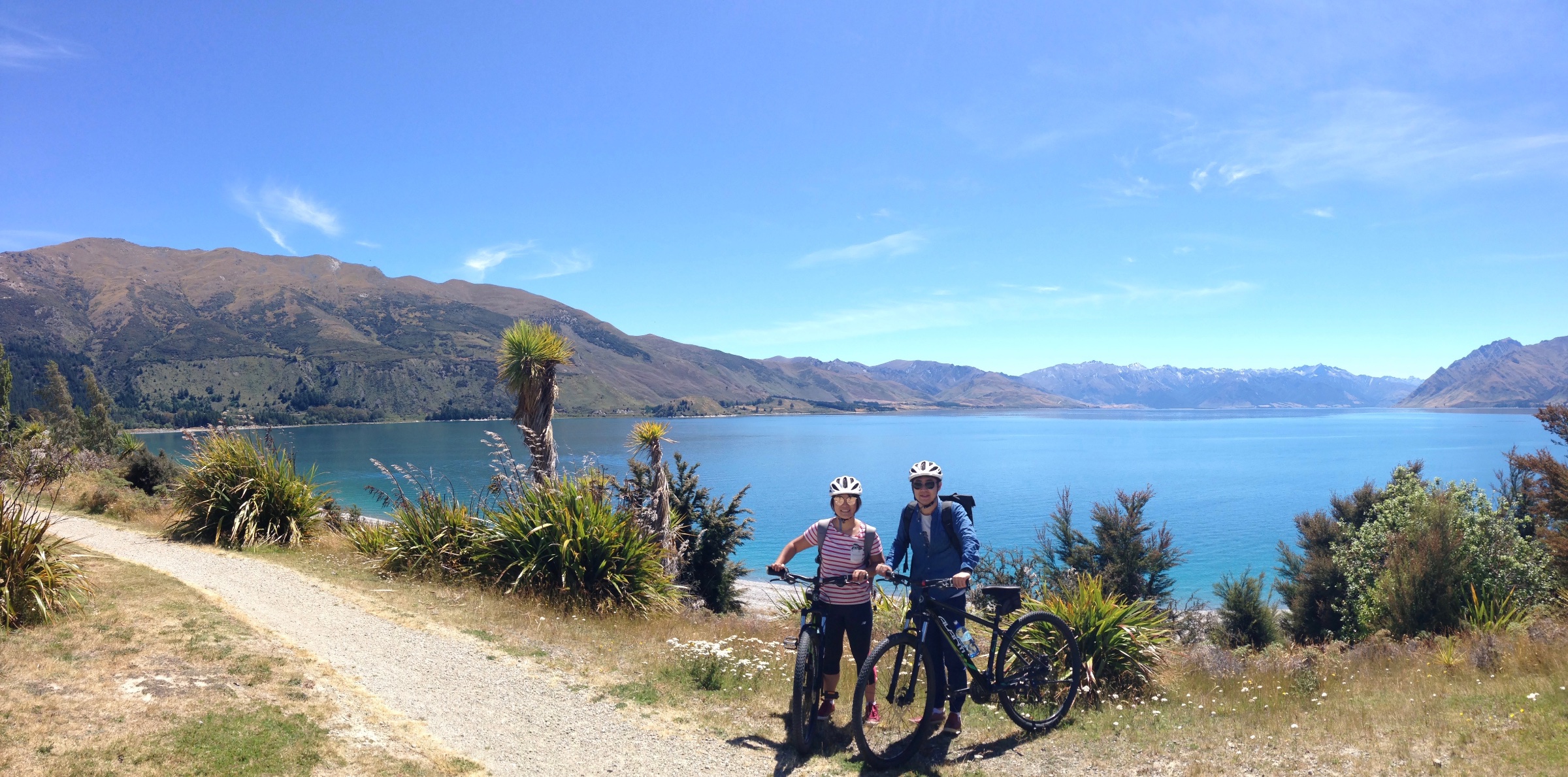 Wanaka Bike Tours