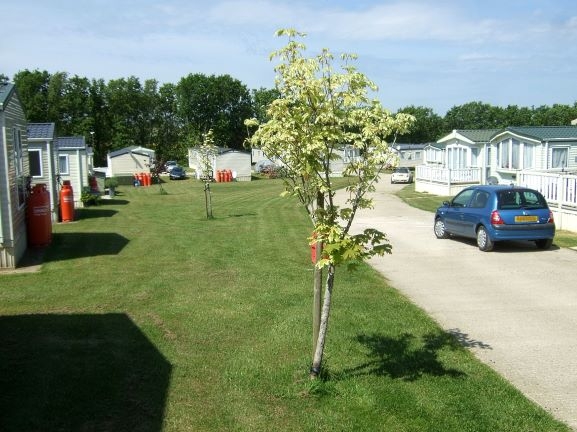 Honeybridge Caravan Park