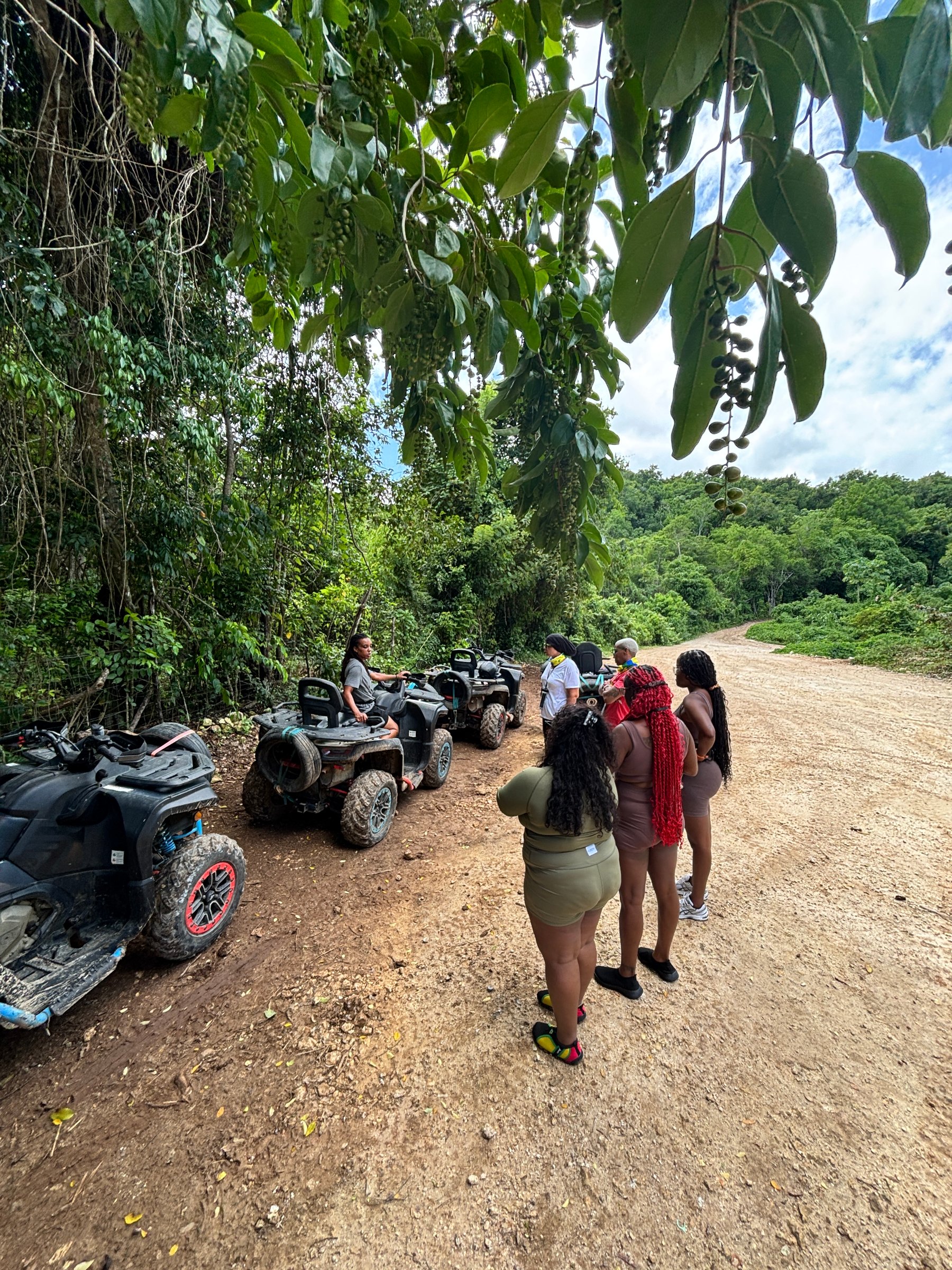 Signature Island Transfers