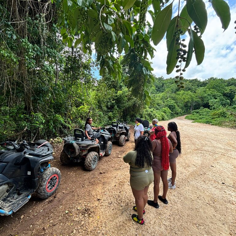 Signature Island Transfers