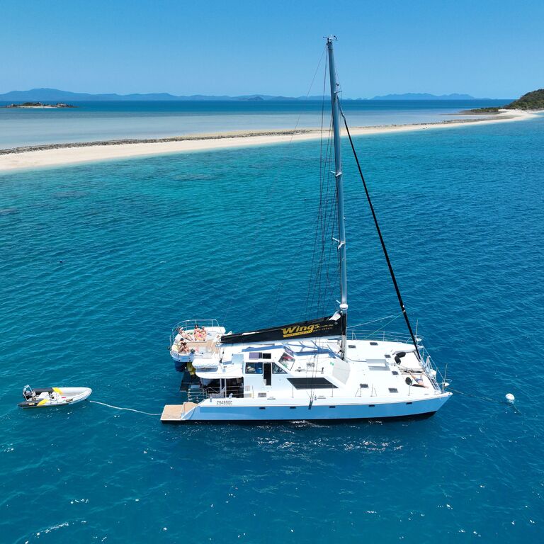 Wings Sailing Charters