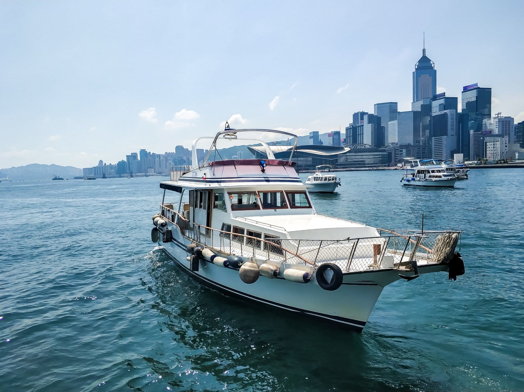 Hong Kong Dolphinwatch