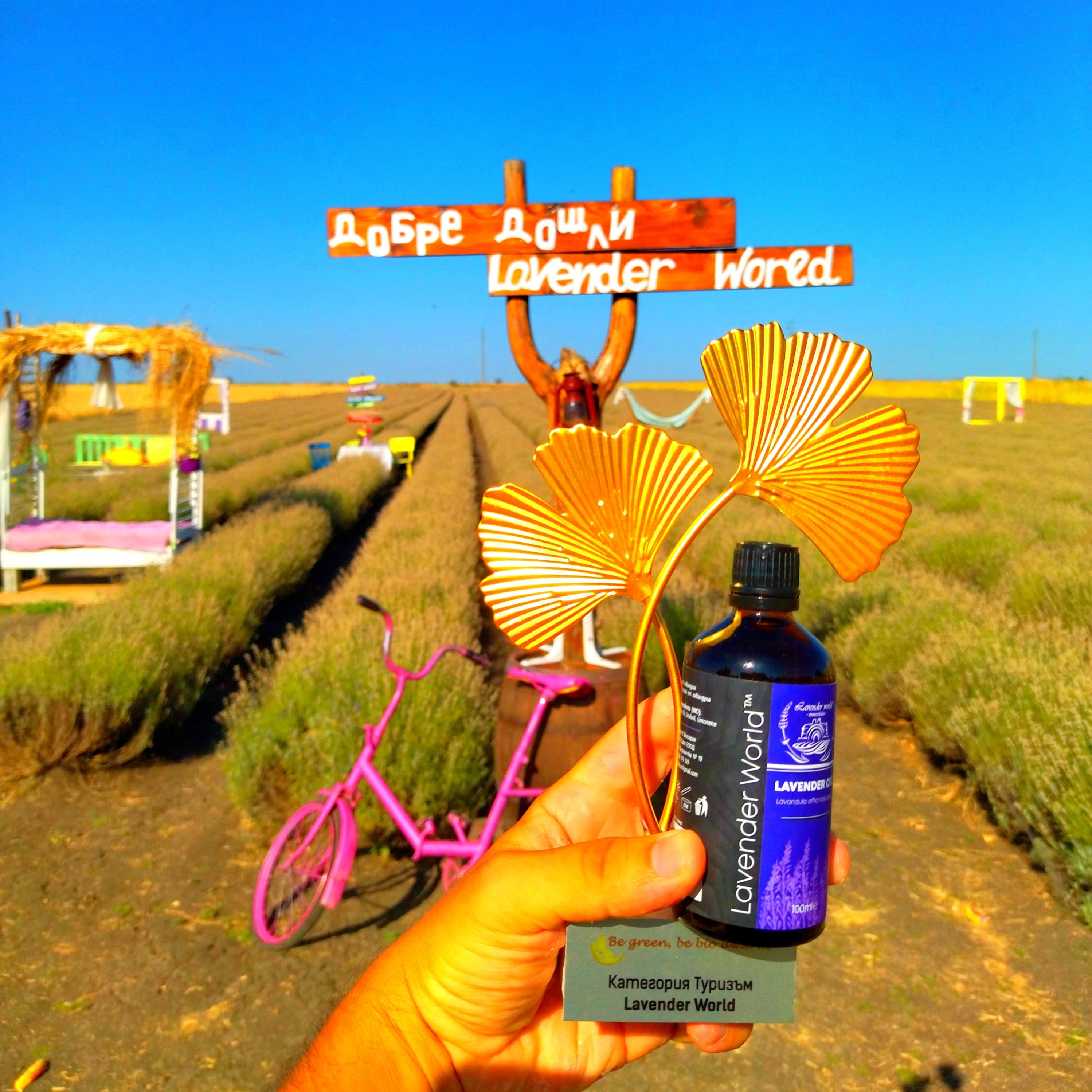 Lavender World