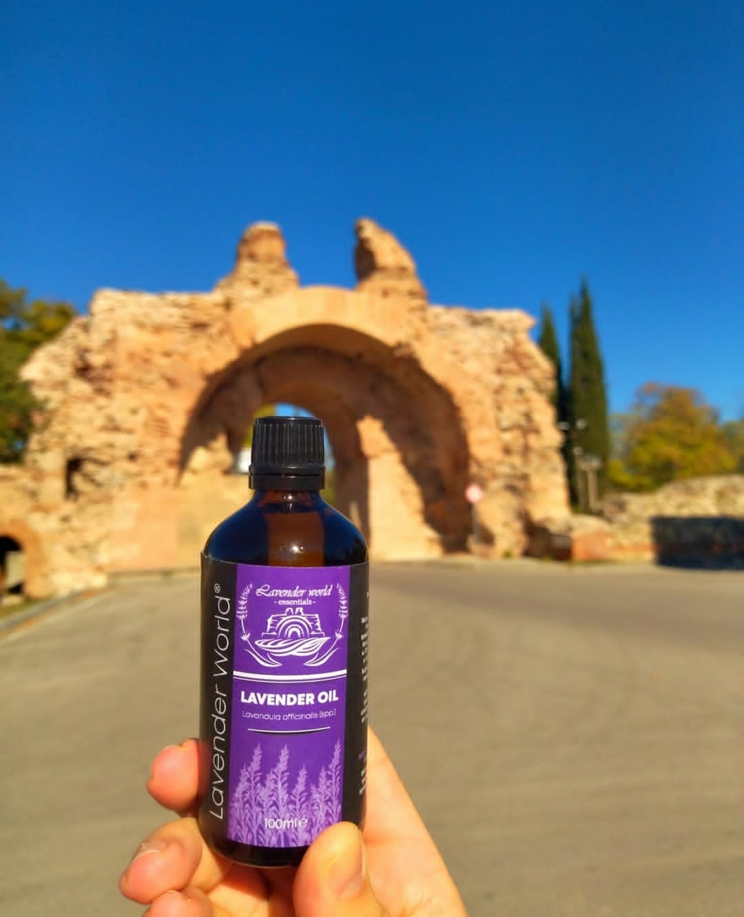 Lavender World