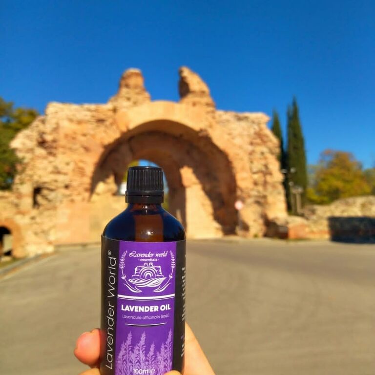 Lavender World