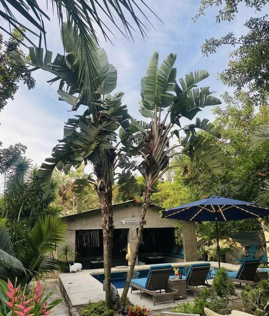 Emoyeni Eco Lodge