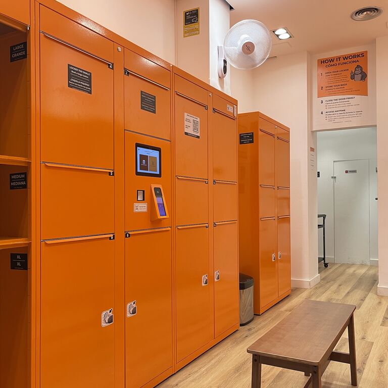 Luggage Storage Vault
