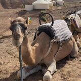 Go To Marrakesh