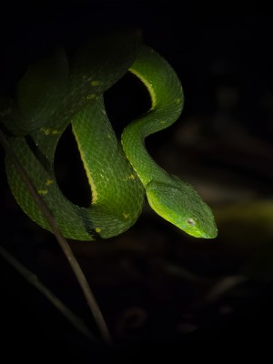 Pablo's Natural Tour