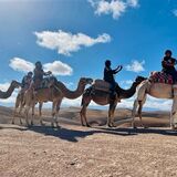Marrakech outdoor Trips