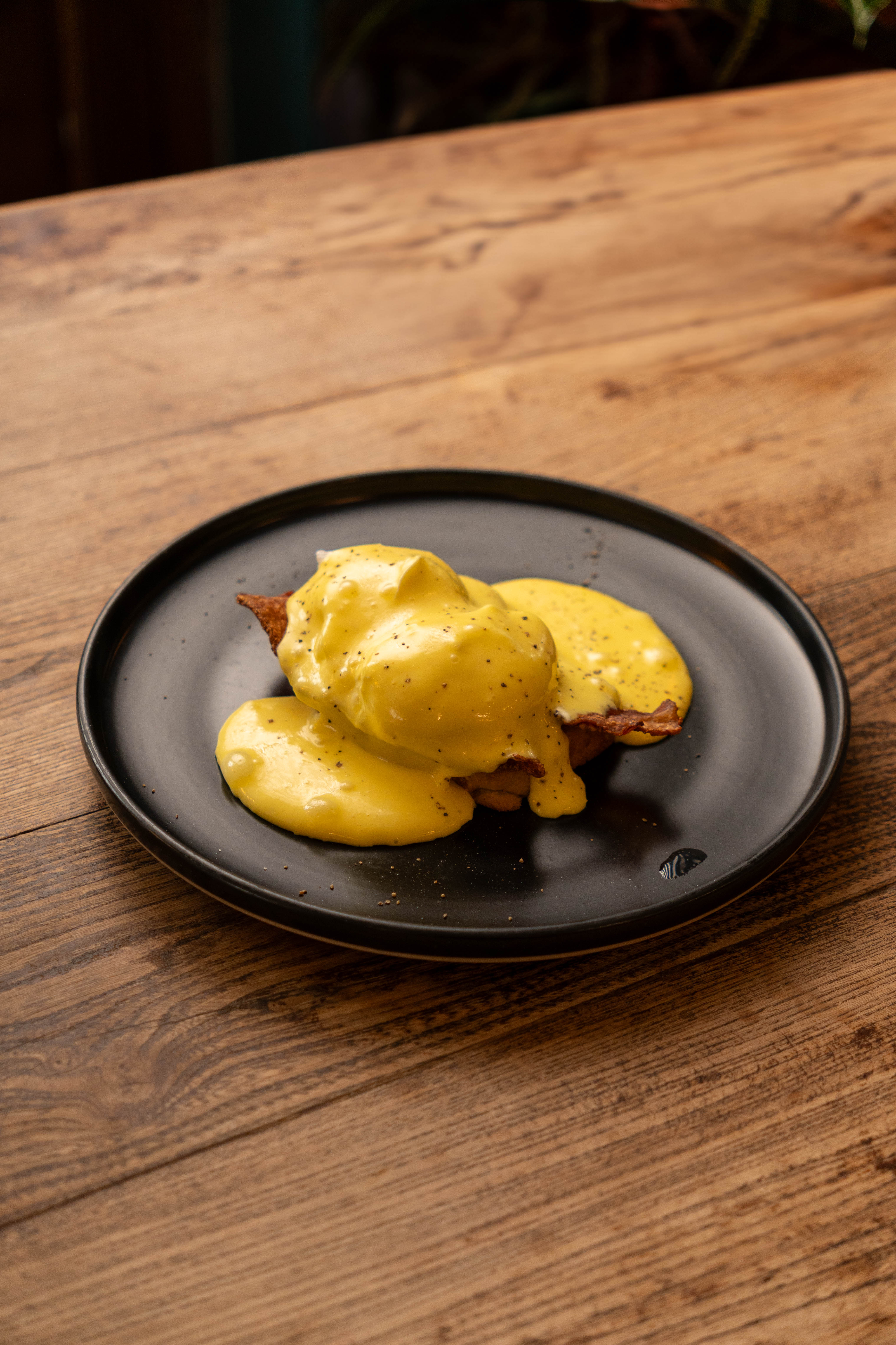 Samambaia caffè • cucina