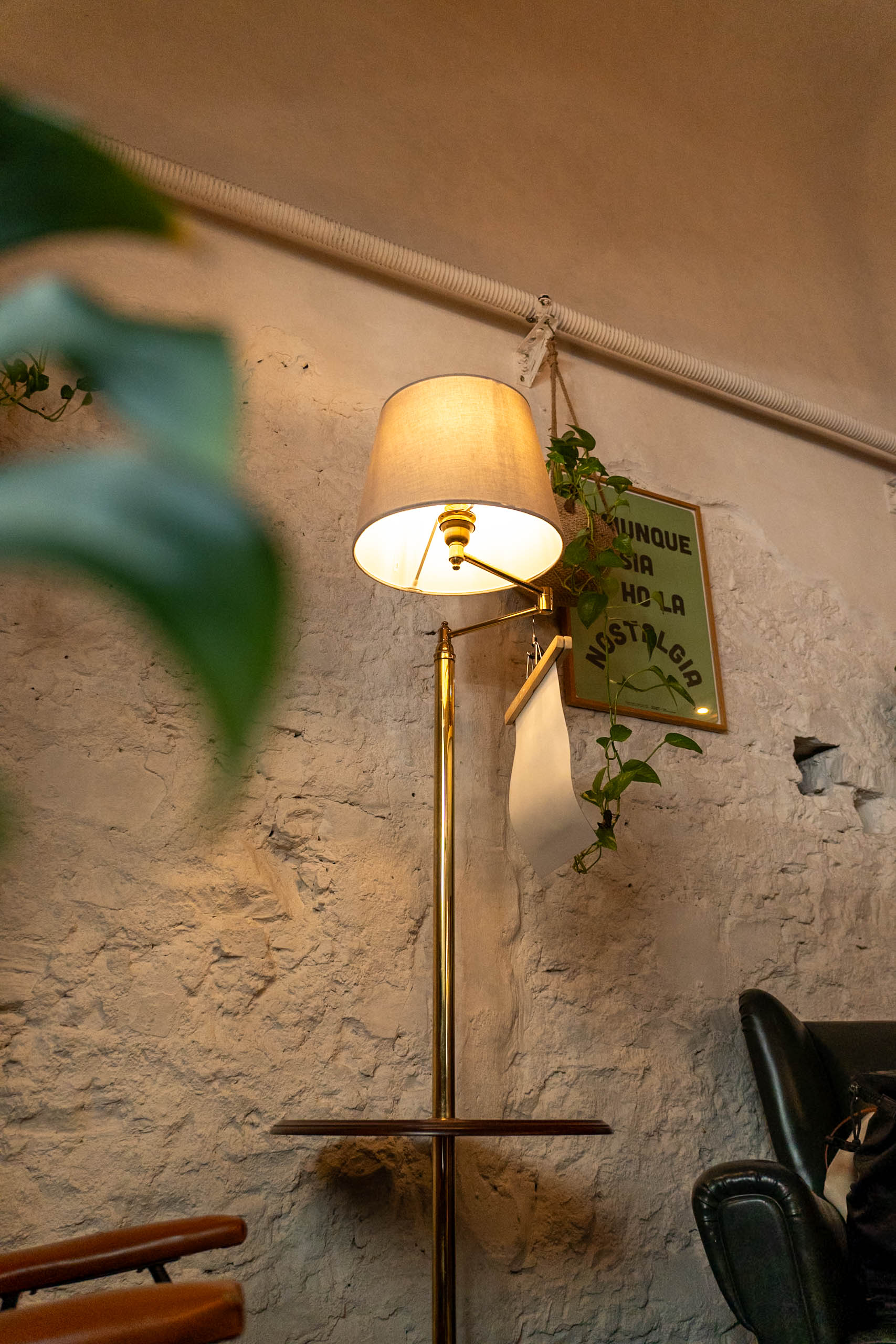 Samambaia caffè • cucina