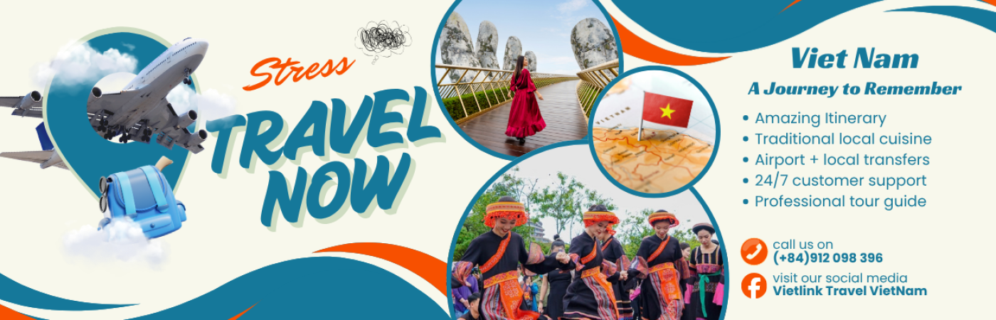 Vietlink Travel
