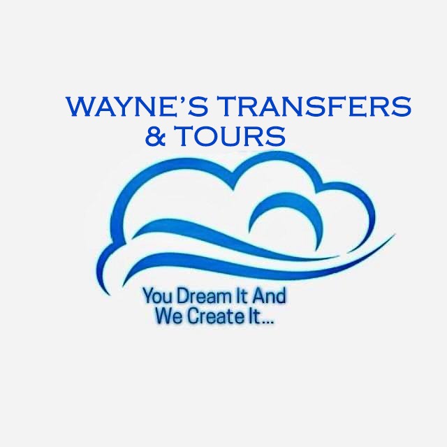 waynes transfers and tours