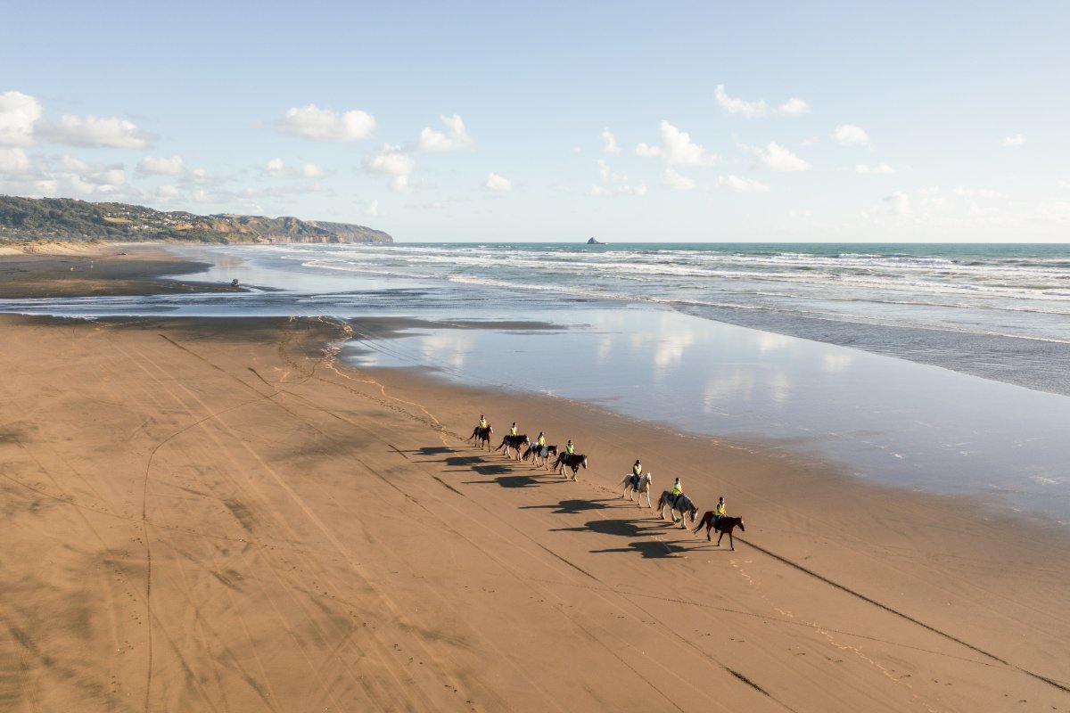 Muriwai Beach Horse Treks