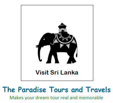 The Paradise Tours and Travels