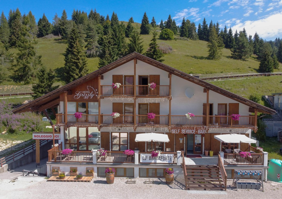 Hotel Grizzly