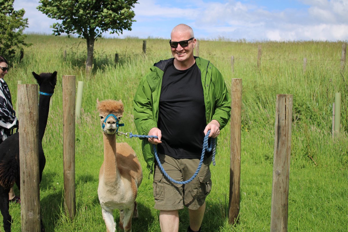Bowbridge Alpacas Scotland