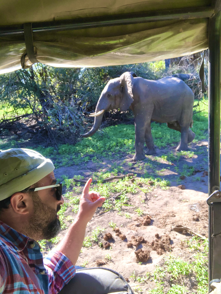 T-One Tours and Safaris