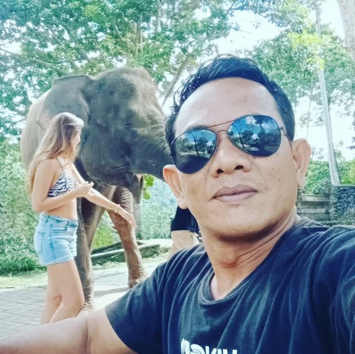 Bali transport service