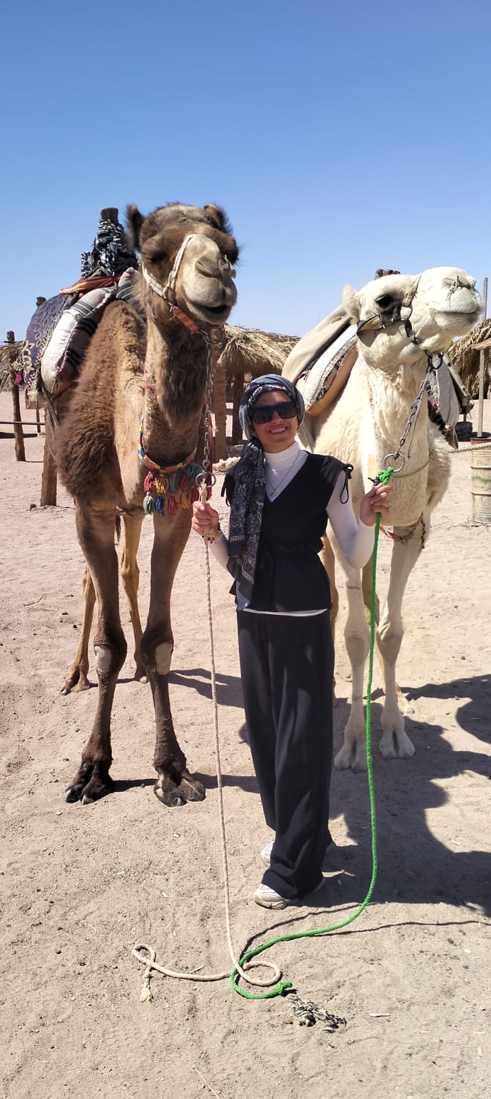 Hurghada Horizons Tours