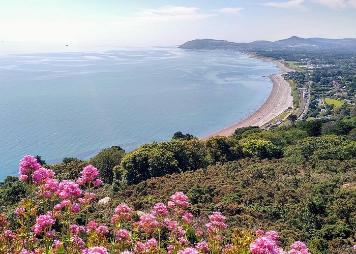 Dublin Top Rated Coastal Walking Tour (Dun Laoghaire)