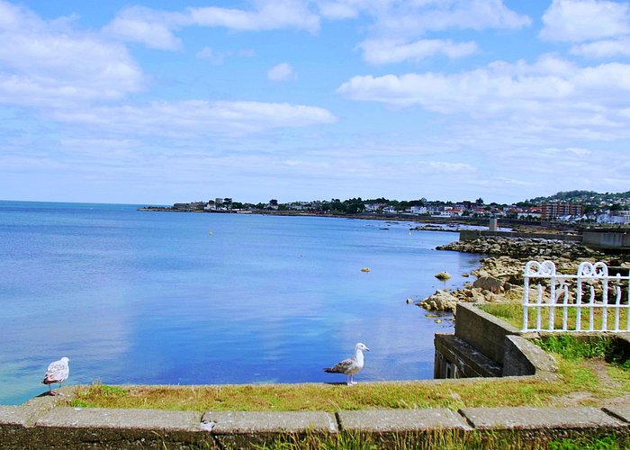 Dublin Top Rated Coastal Walking Tour (Dun Laoghaire)