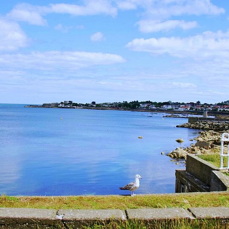Dublin Top Rated Coastal Walking Tour (Dun Laoghaire)