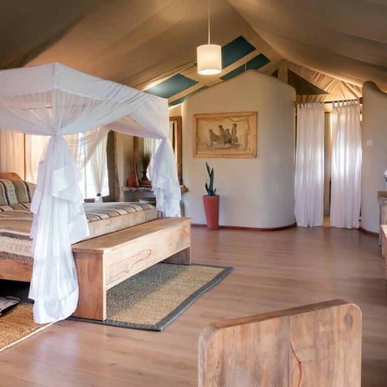 DREAM VOYAGE SAFARIS