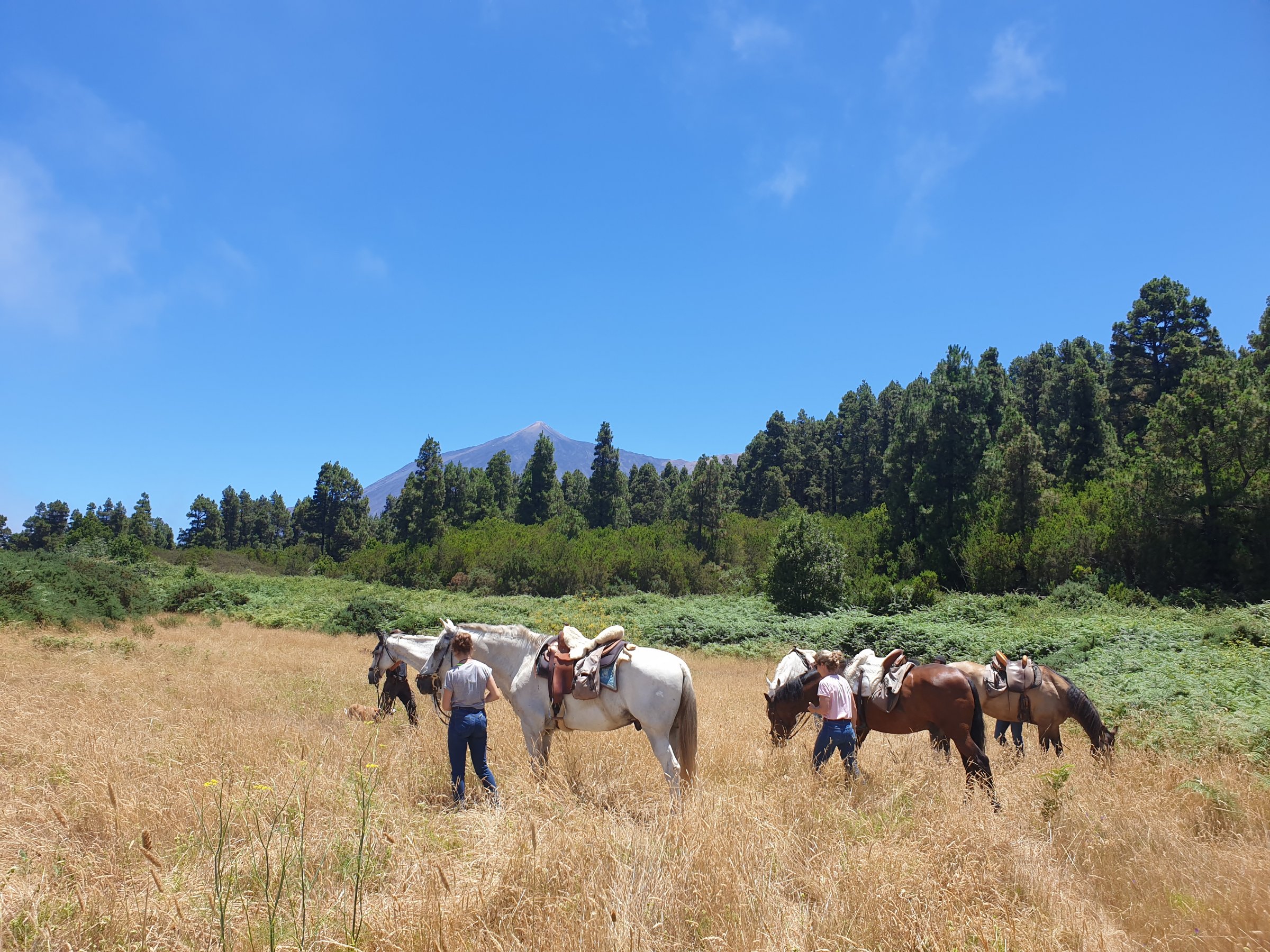 Finca Estrella