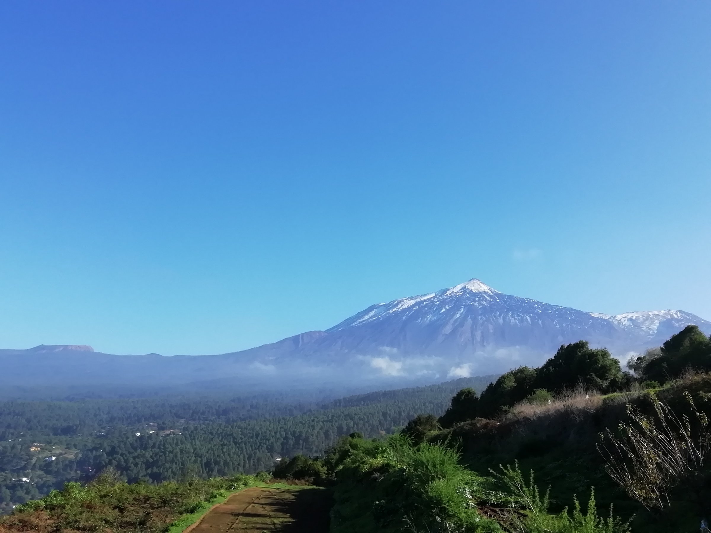 Finca Estrella