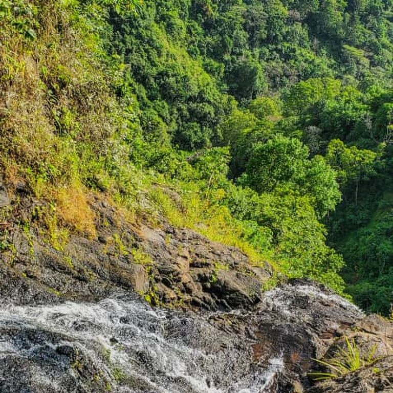 Materuni Waterfall and Organic coffee traditional brewing with Picnic Lunch