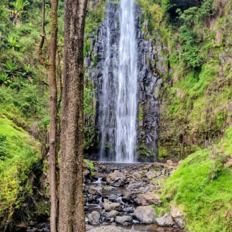 Materuni Waterfall and Organic coffee traditional brewing with Picnic Lunch