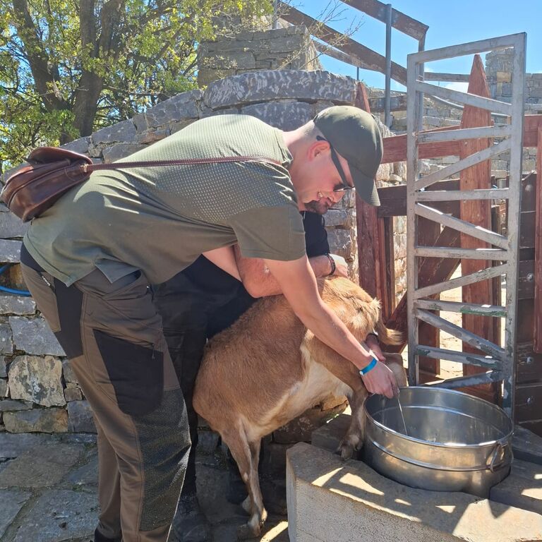 Cretan Vioma