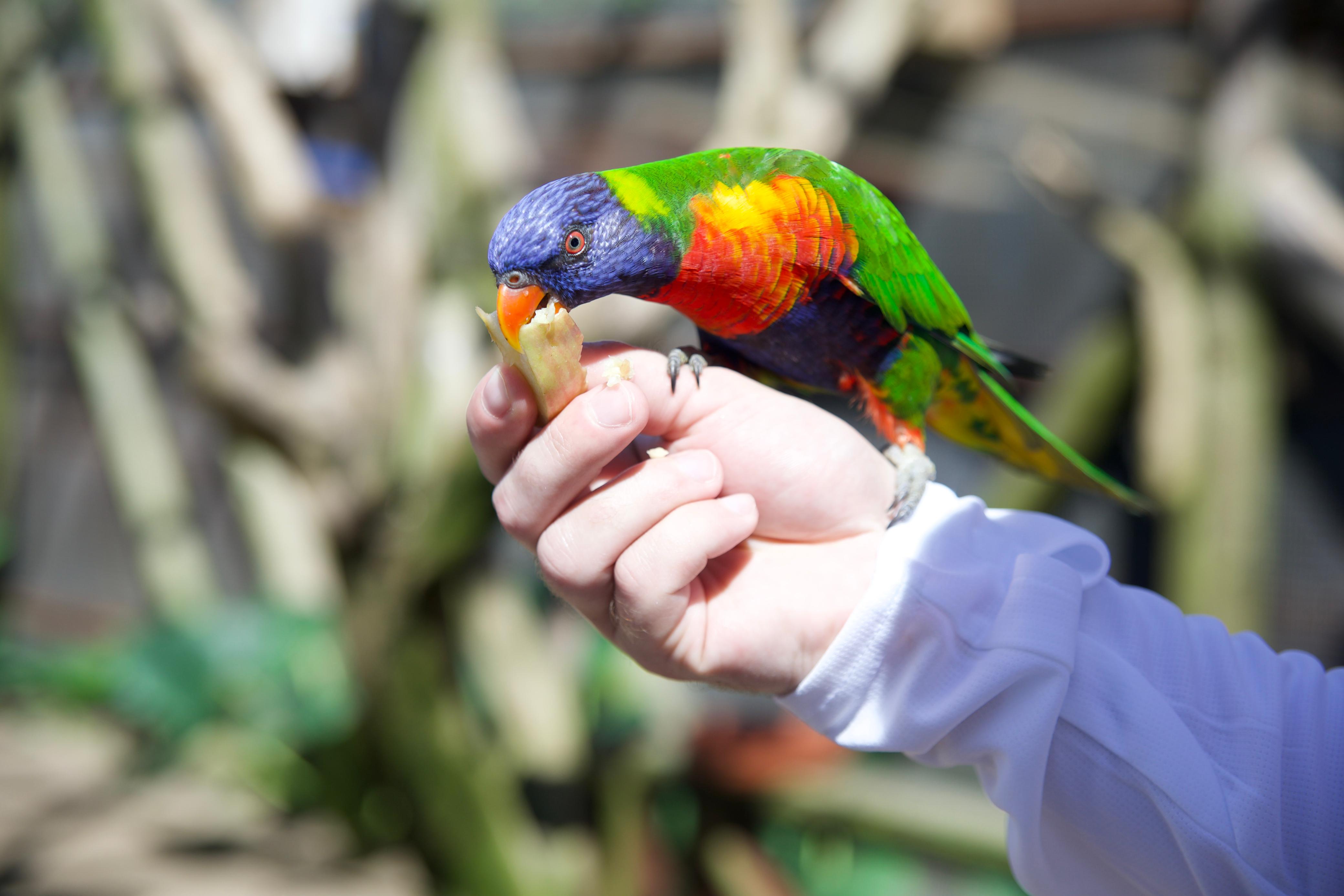 Twin Island Excursions