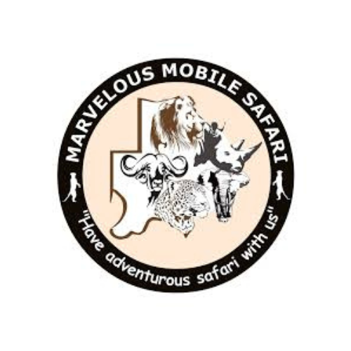 Marvelous Mobile Safari