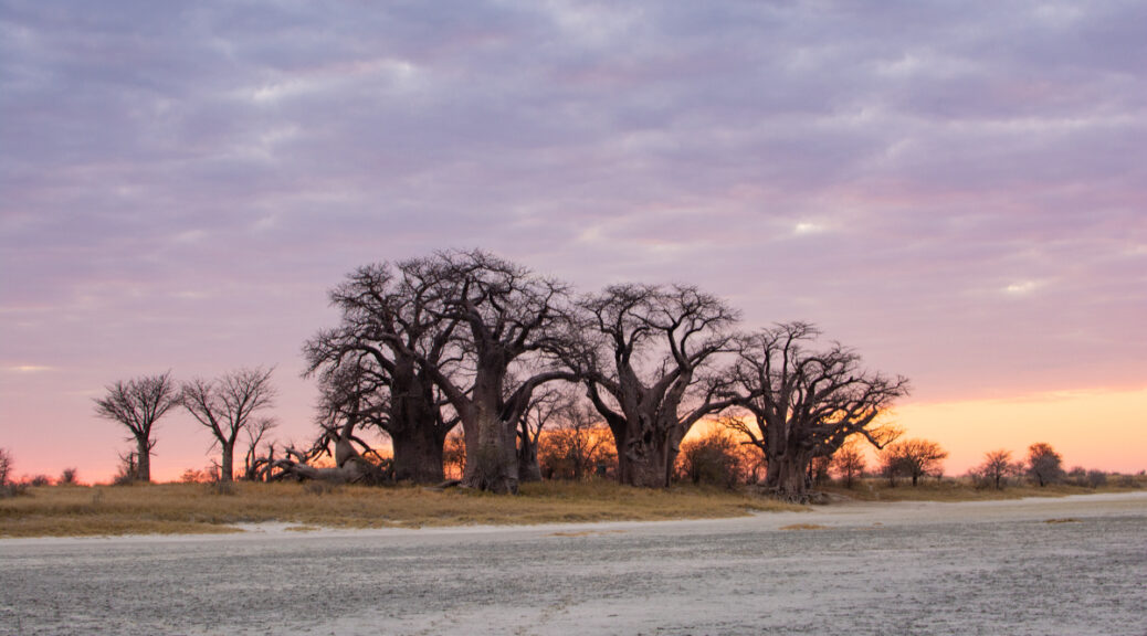 Marvelous Mobile Safari