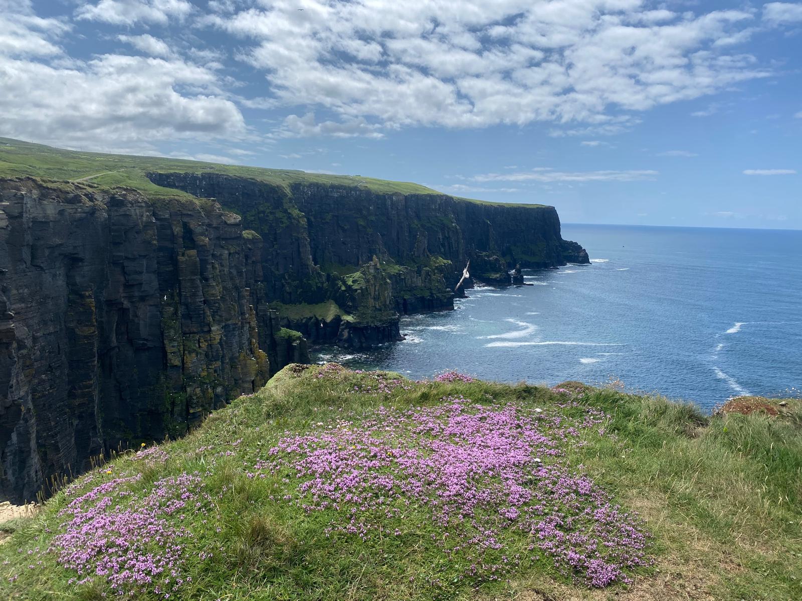 Celtic Chauffeur Services Ltd