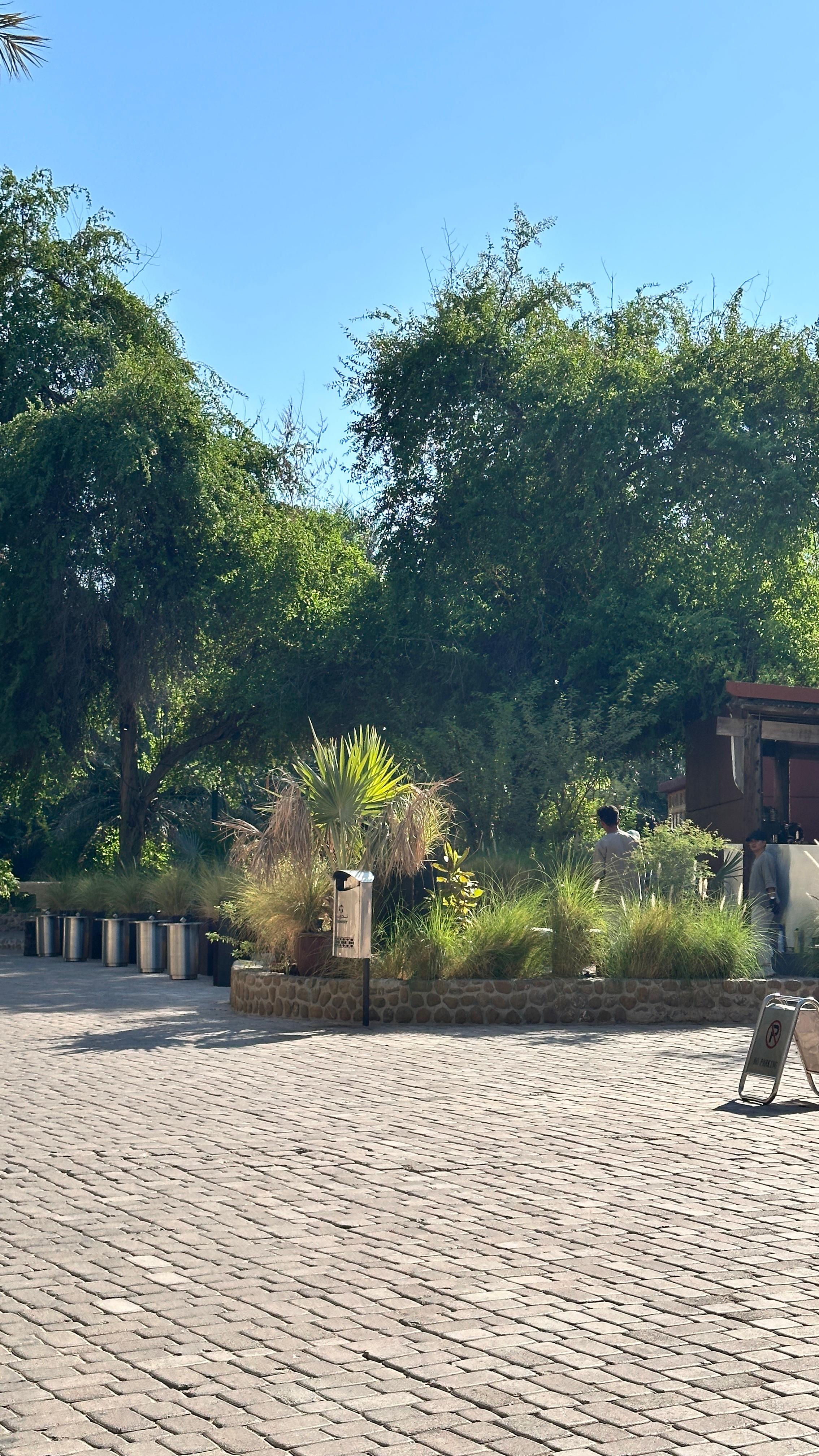 Fortresses and History Tour in Al Ain City