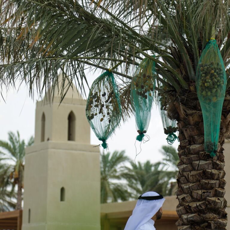 Fortresses and History Tour in Al Ain City