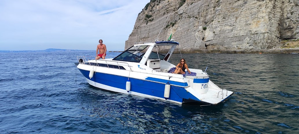 domino charter