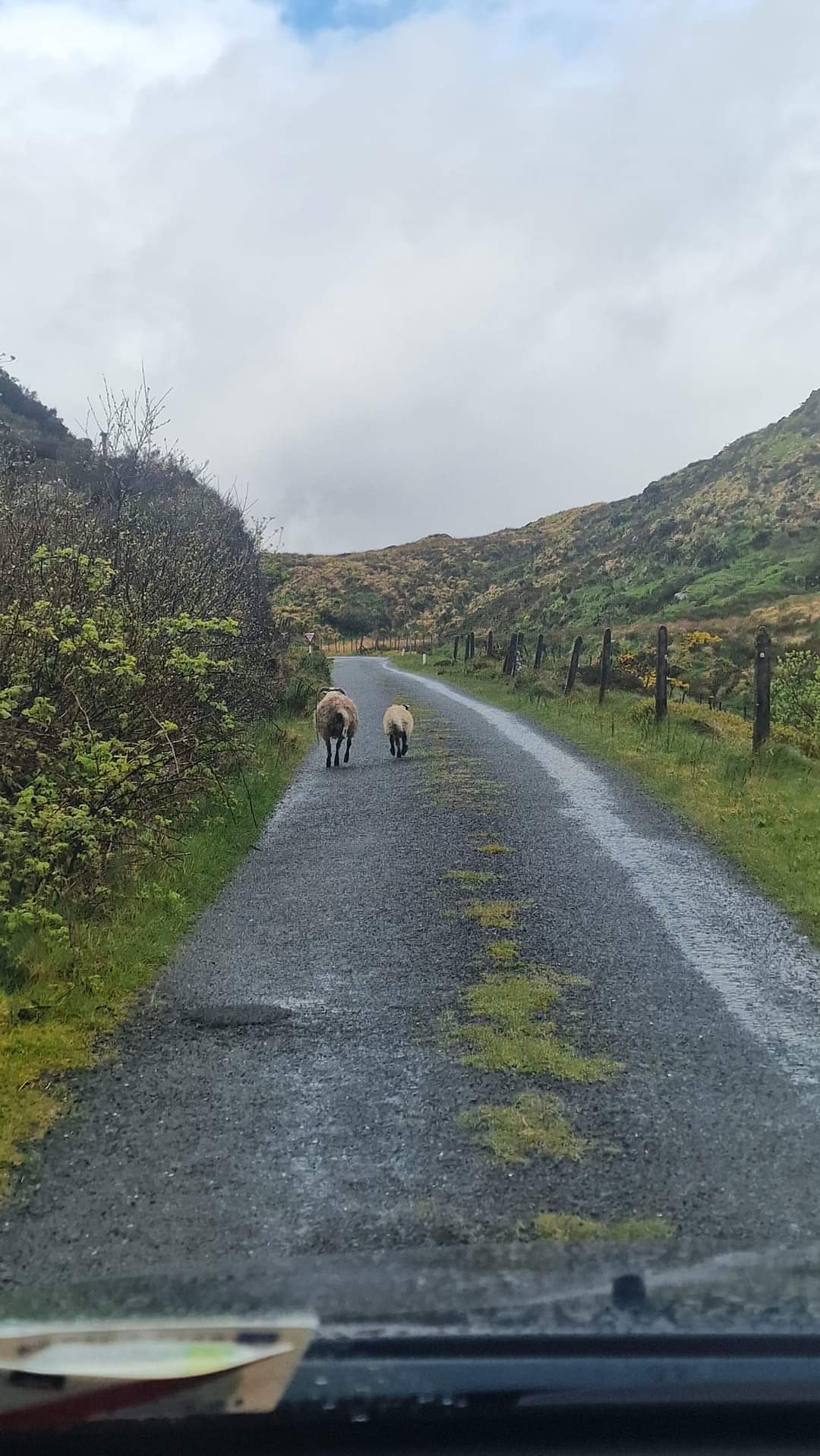 Easy Transfer Ireland