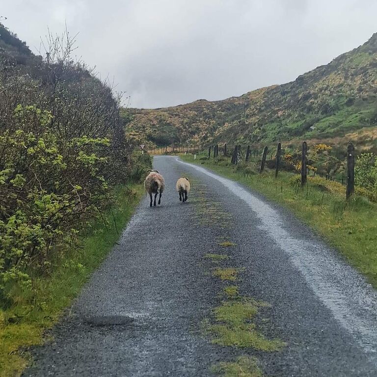 Easy Transfer Ireland