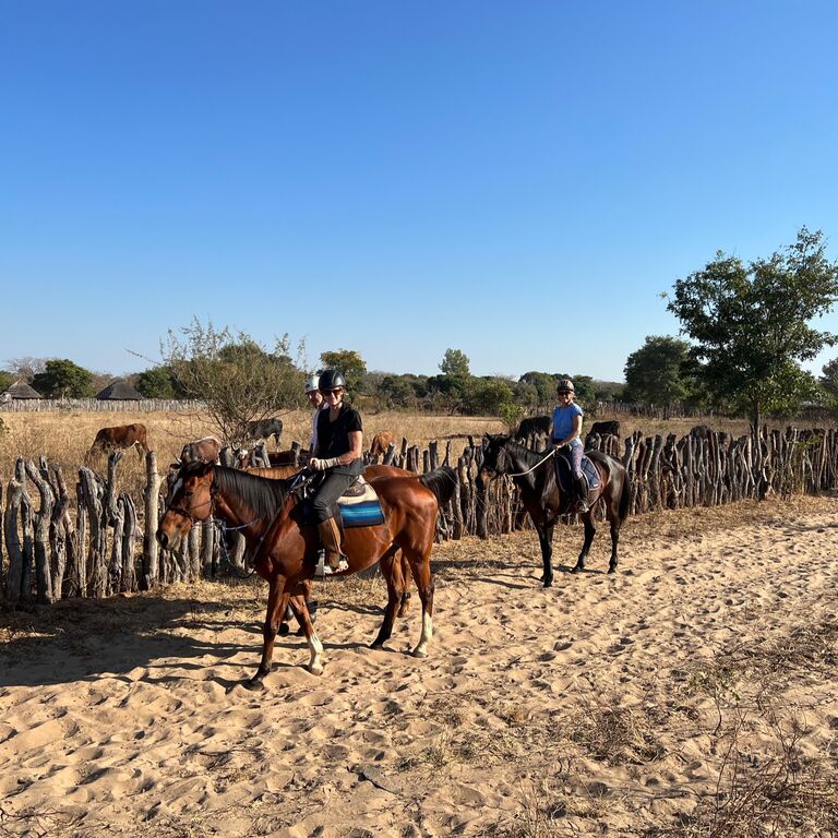 Wild Bhiza Stables