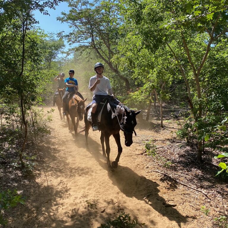 Wild Bhiza Stables