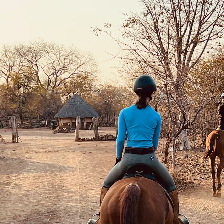 Wild Bhiza Stables