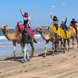 Morocco Tours